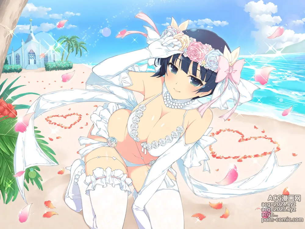 Page 508 of imageset Shinobi Master Senran Kagura New Link Chara Artwork HD