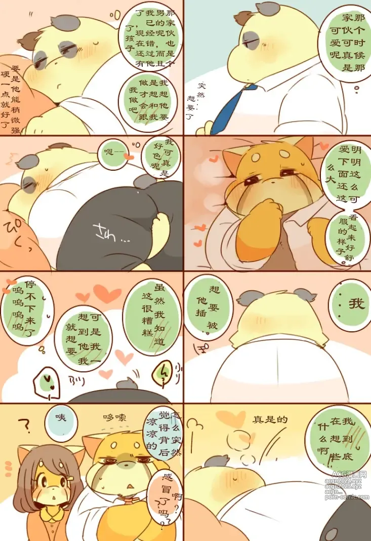 Page 11 of doujinshi Lesser-kun to Panda-kun 9雷萨君和潘达君 9 个人汉化