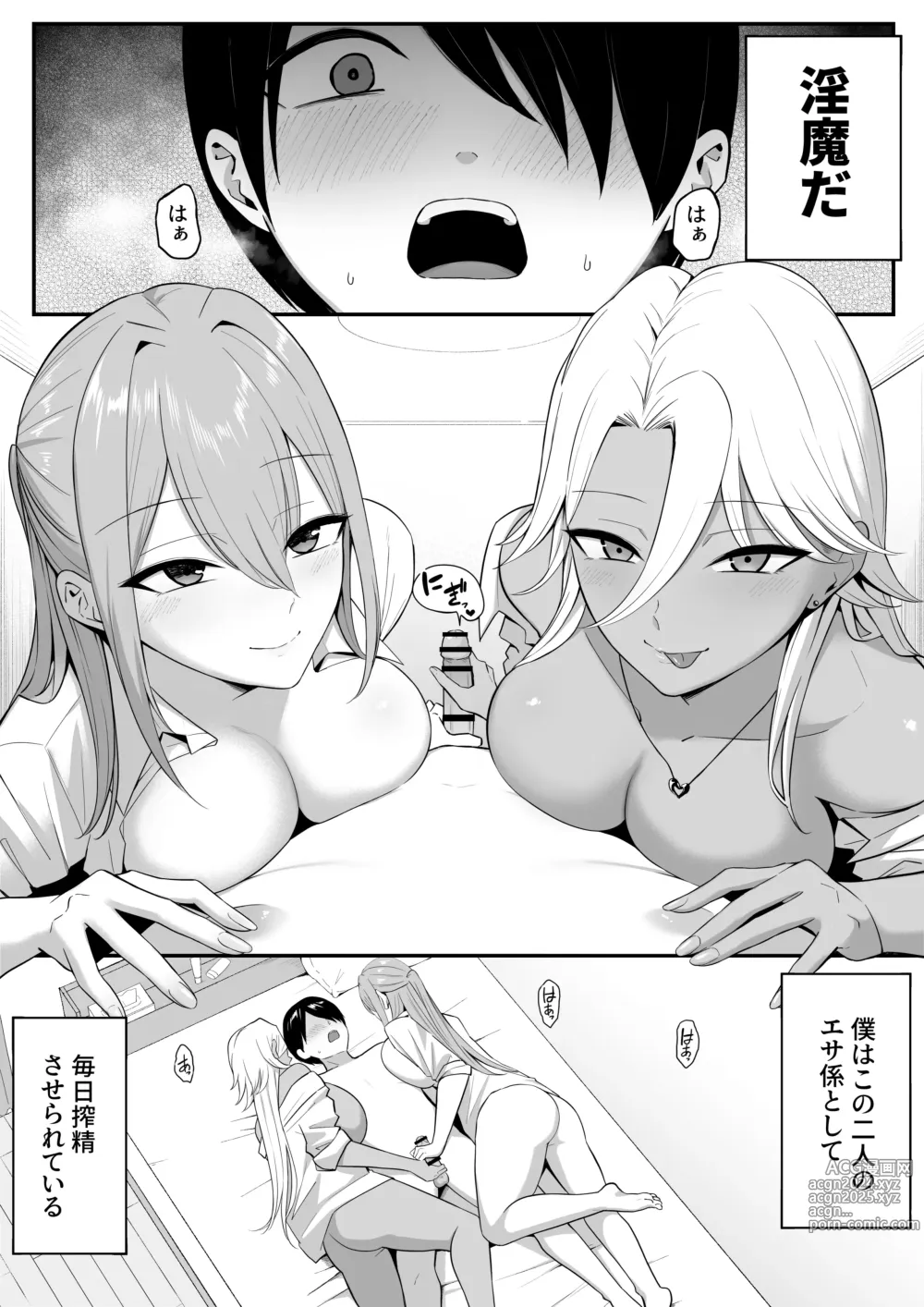 Page 4 of doujinshi Inma no Esa-gakari ni Narimashita.2