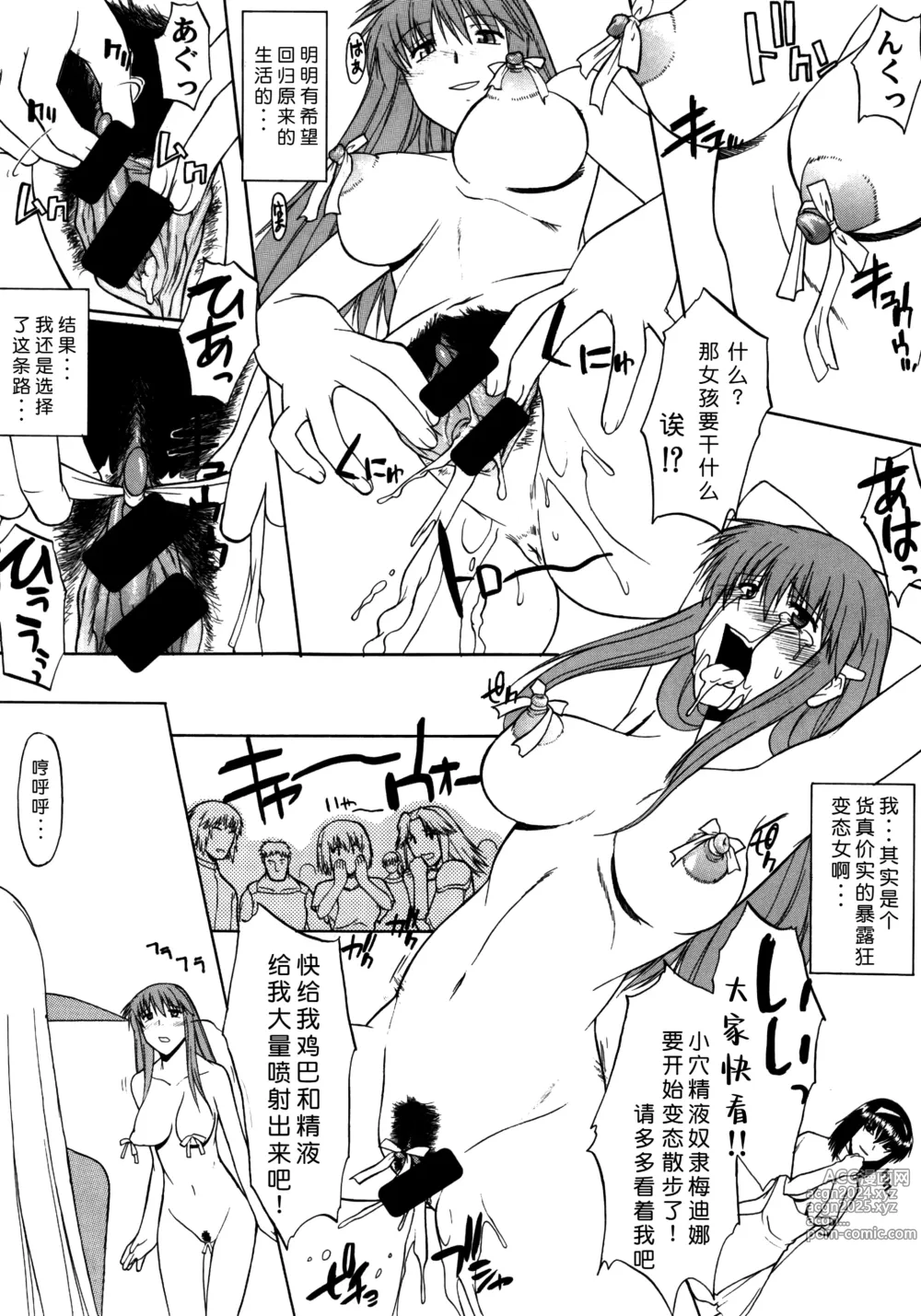 Page 33 of doujinshi Record of Aldelayd Act. 8 - EXHIBITION DX5