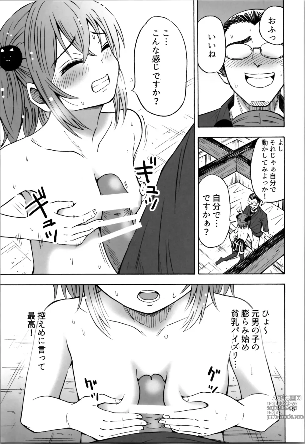 Page 15 of doujinshi TS Shita no ni Hinnyuu toka tte Arienakunai desu ka?