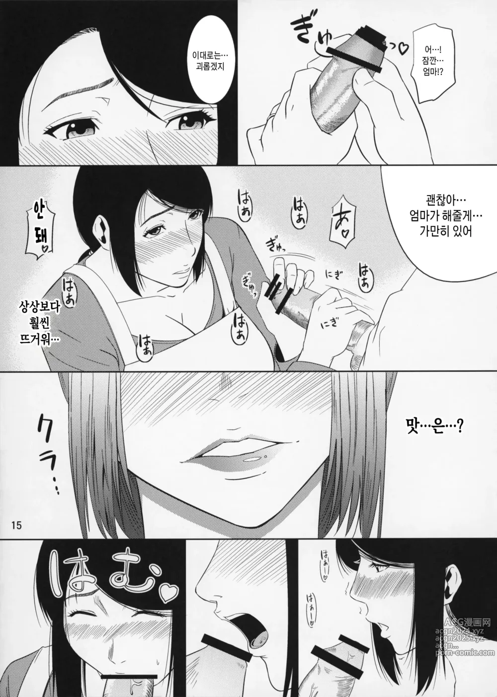 Page 15 of doujinshi 모혈을 파다 11