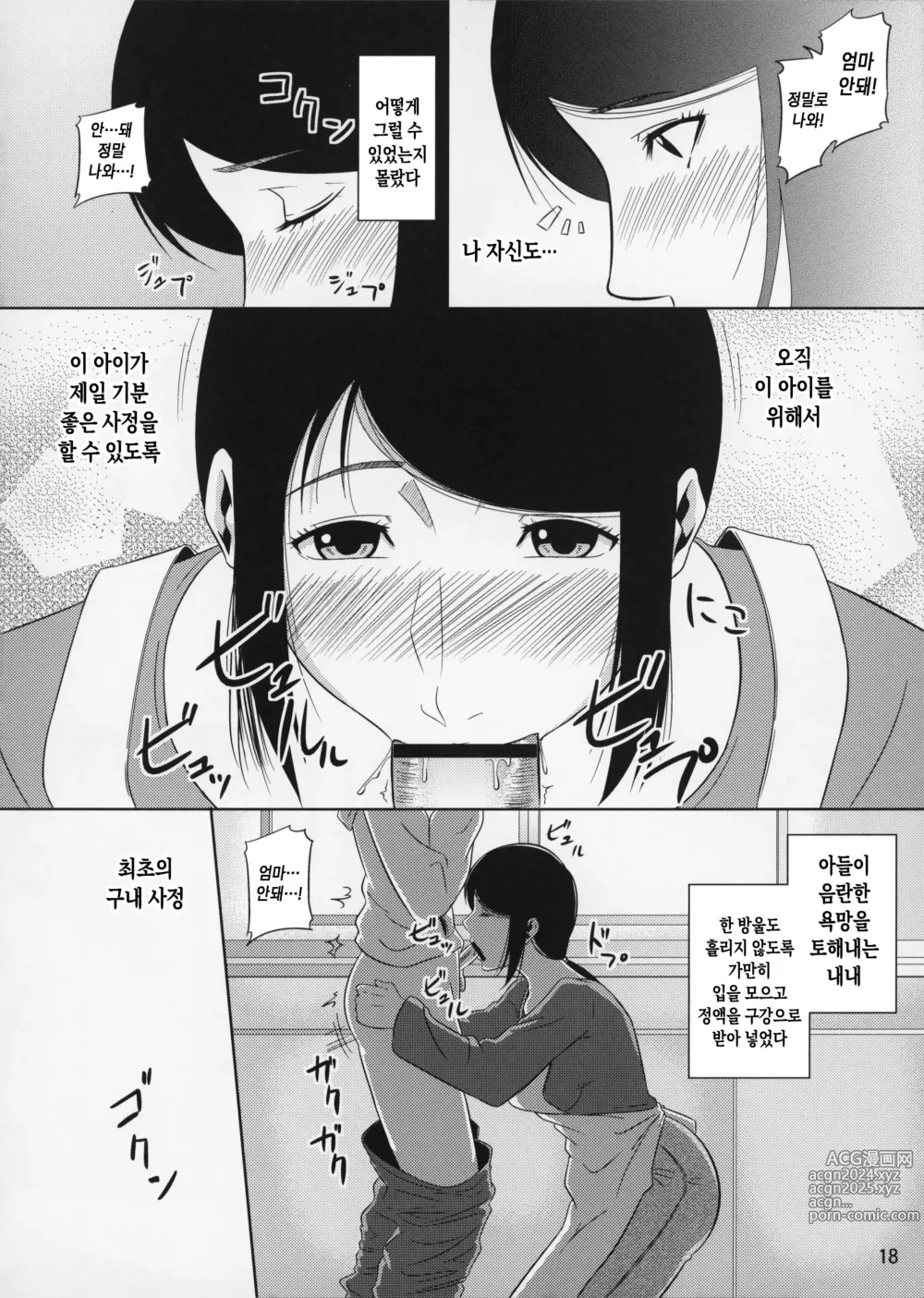 Page 18 of doujinshi 모혈을 파다 11