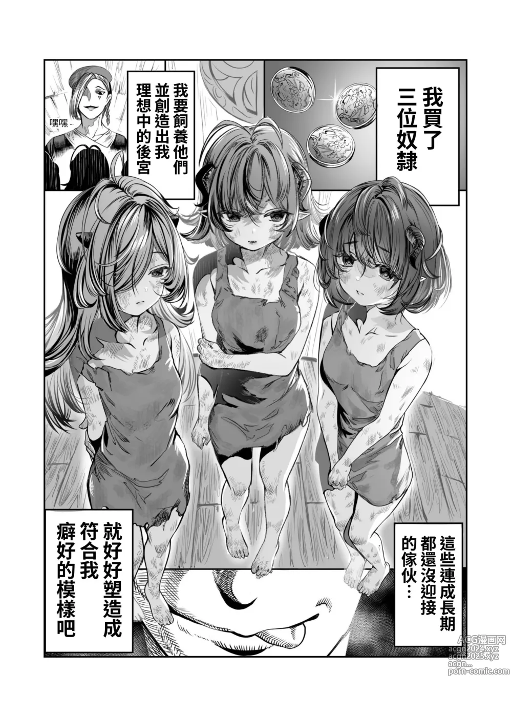 Page 2 of doujinshi Dorei o Choukyou shite Harem Tsukuru ~Sodateta Dorei-tachi to Junai Harem H suru made no Hanashi~ Manga Ban