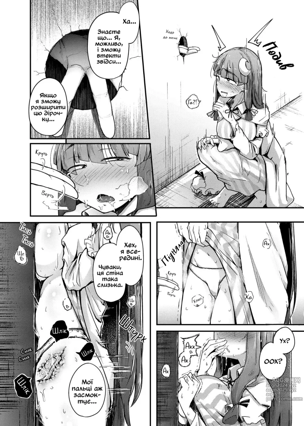 Page 13 of doujinshi Діра і збочена непорушна велика бібліотекарка