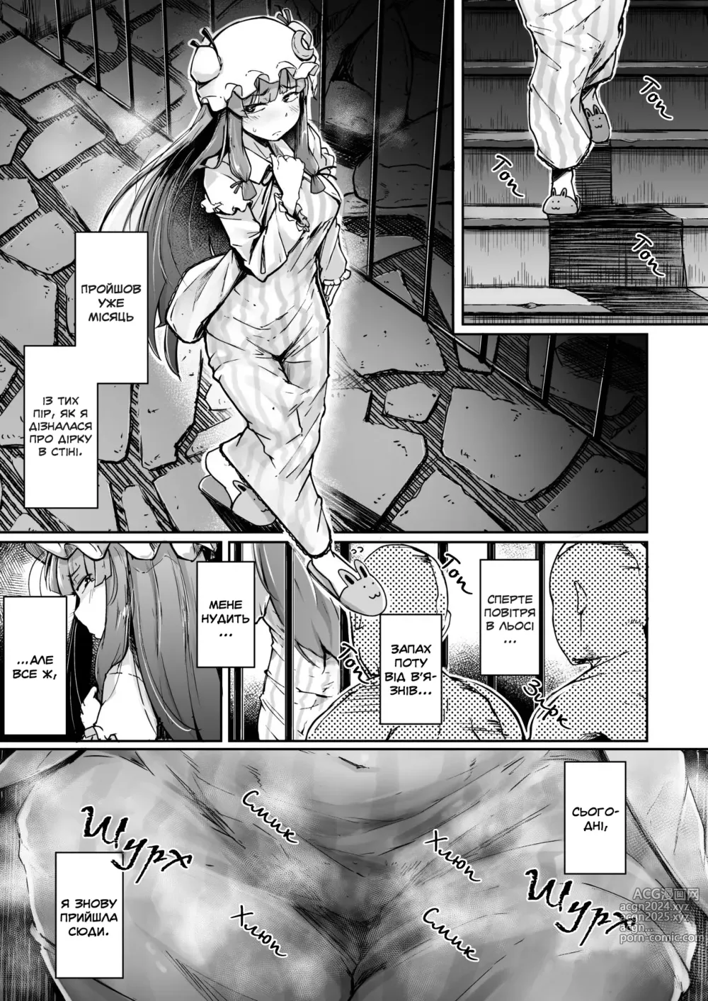 Page 3 of doujinshi Діра і збочена непорушна велика бібліотекарка 2