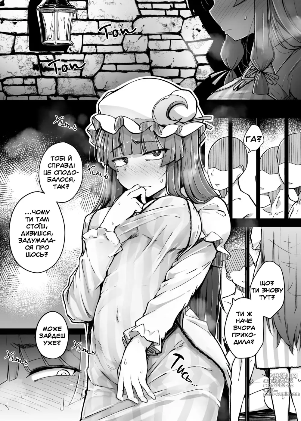 Page 3 of doujinshi Діра і збочена непорушна велика бібліотекарка 3