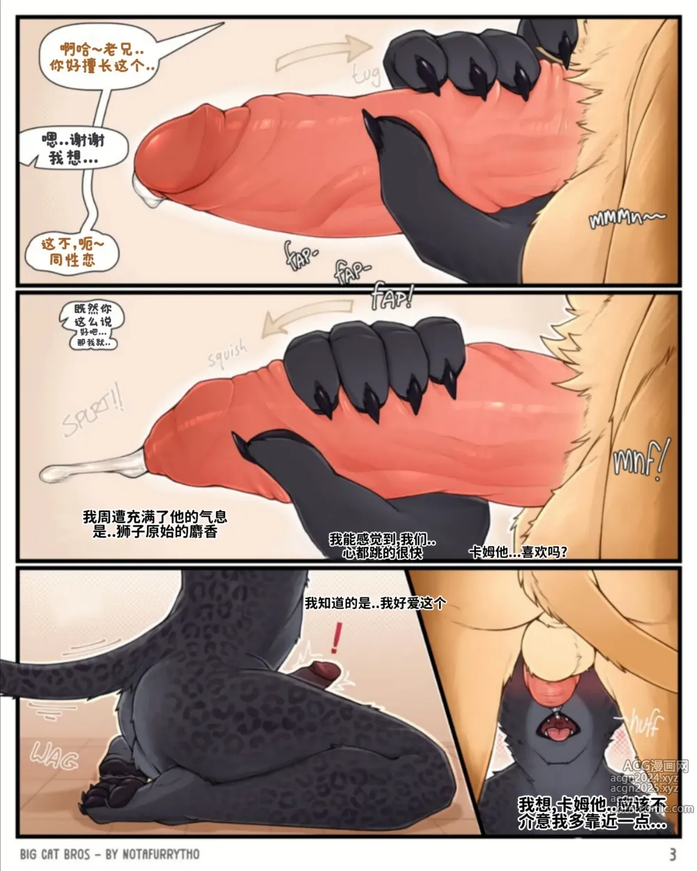 Page 3 of doujinshi Big Cat Bros【大猫兄弟】