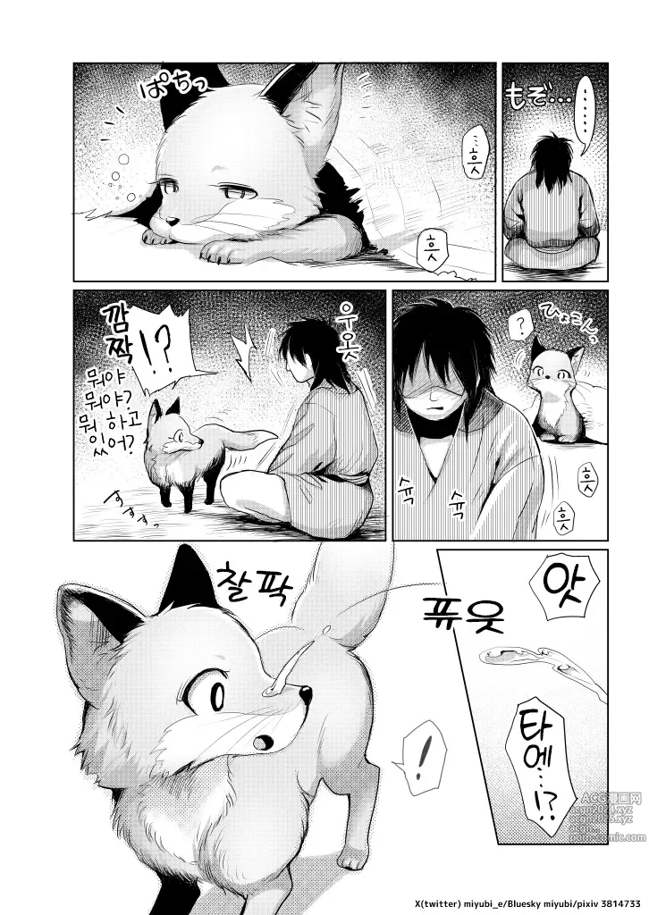 Page 24 of doujinshi 黄金狐の後日譚