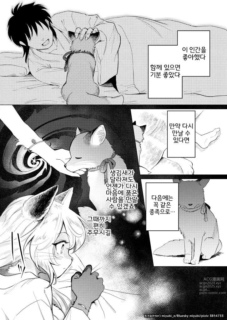 Page 4 of doujinshi 黄金狐の後日譚