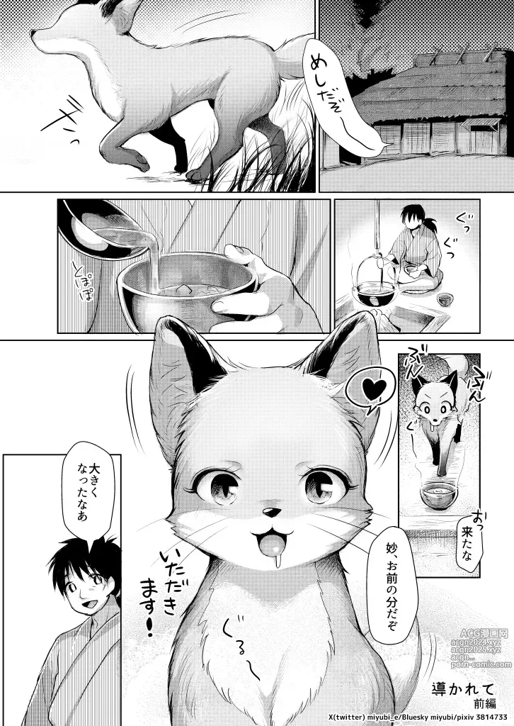 Page 22 of doujinshi Koganegitsune no Gojitsutan