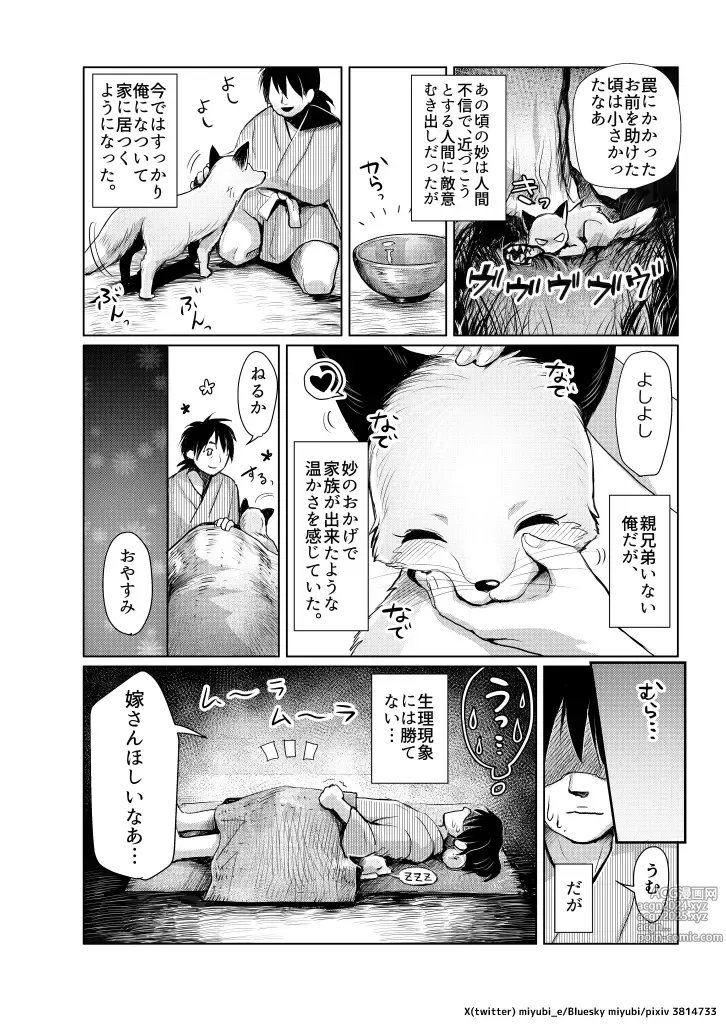 Page 23 of doujinshi Koganegitsune no Gojitsutan