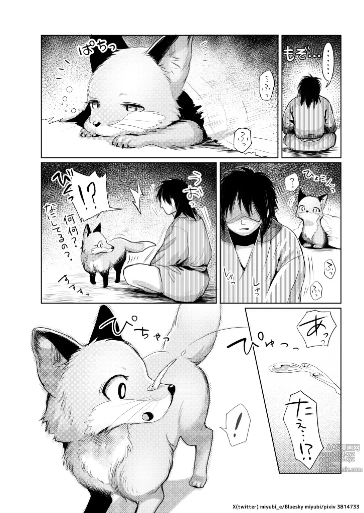 Page 24 of doujinshi Koganegitsune no Gojitsutan