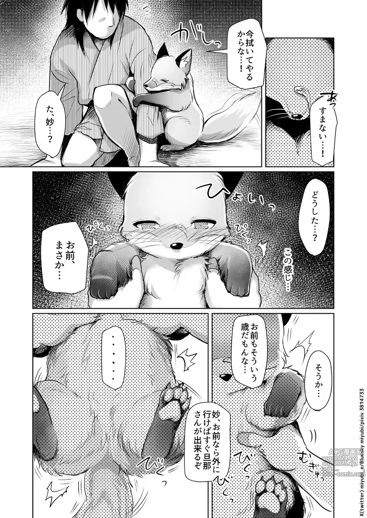 Page 25 of doujinshi Koganegitsune no Gojitsutan