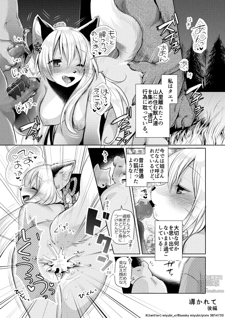 Page 32 of doujinshi Koganegitsune no Gojitsutan