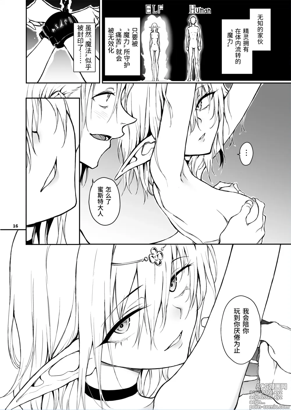 Page 16 of doujinshi 精灵教育 - 亡国的蜜斯特