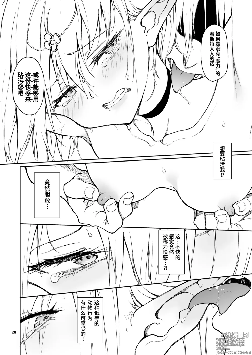 Page 28 of doujinshi 精灵教育 - 亡国的蜜斯特