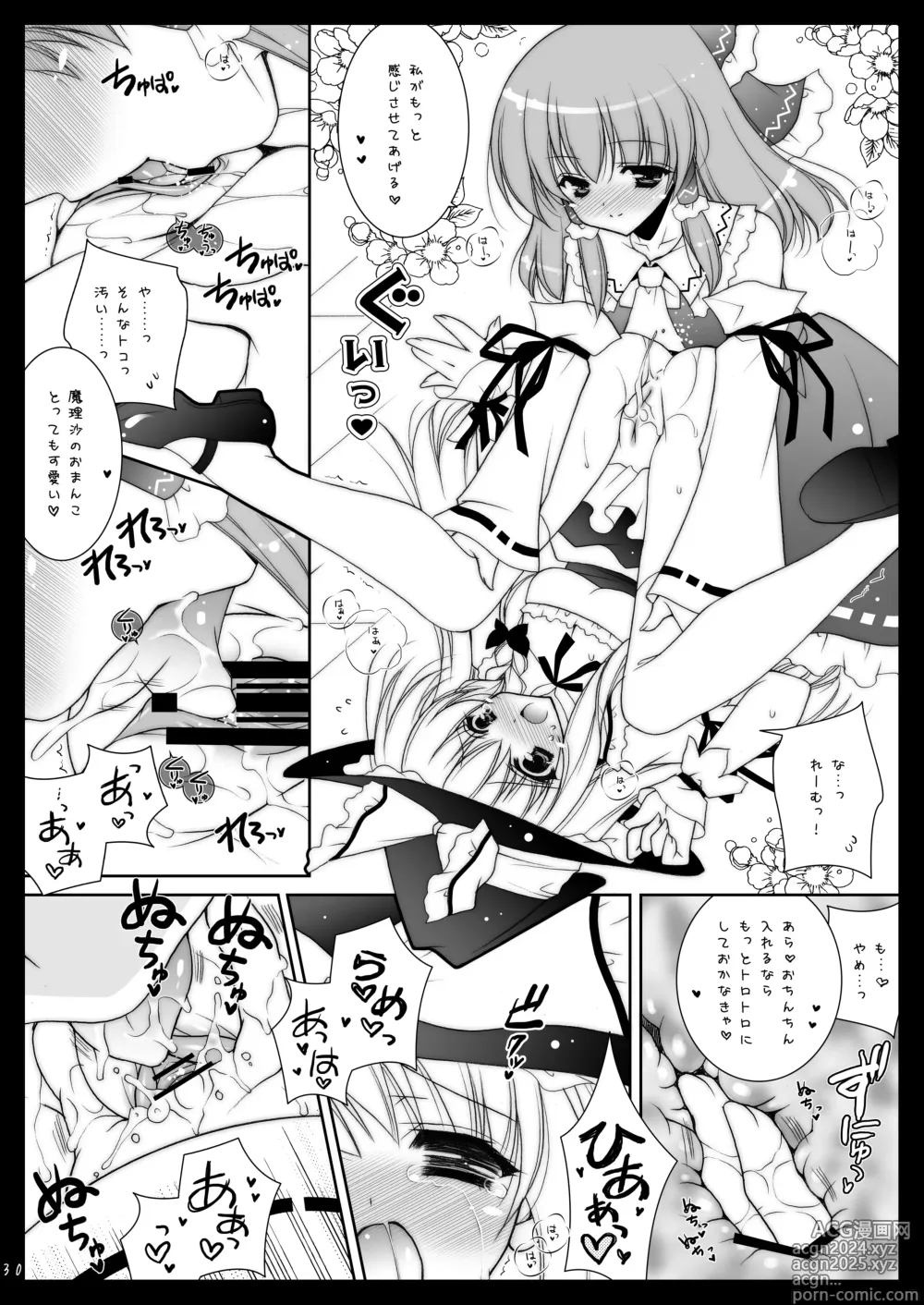 Page 30 of doujinshi Touhou Shungi