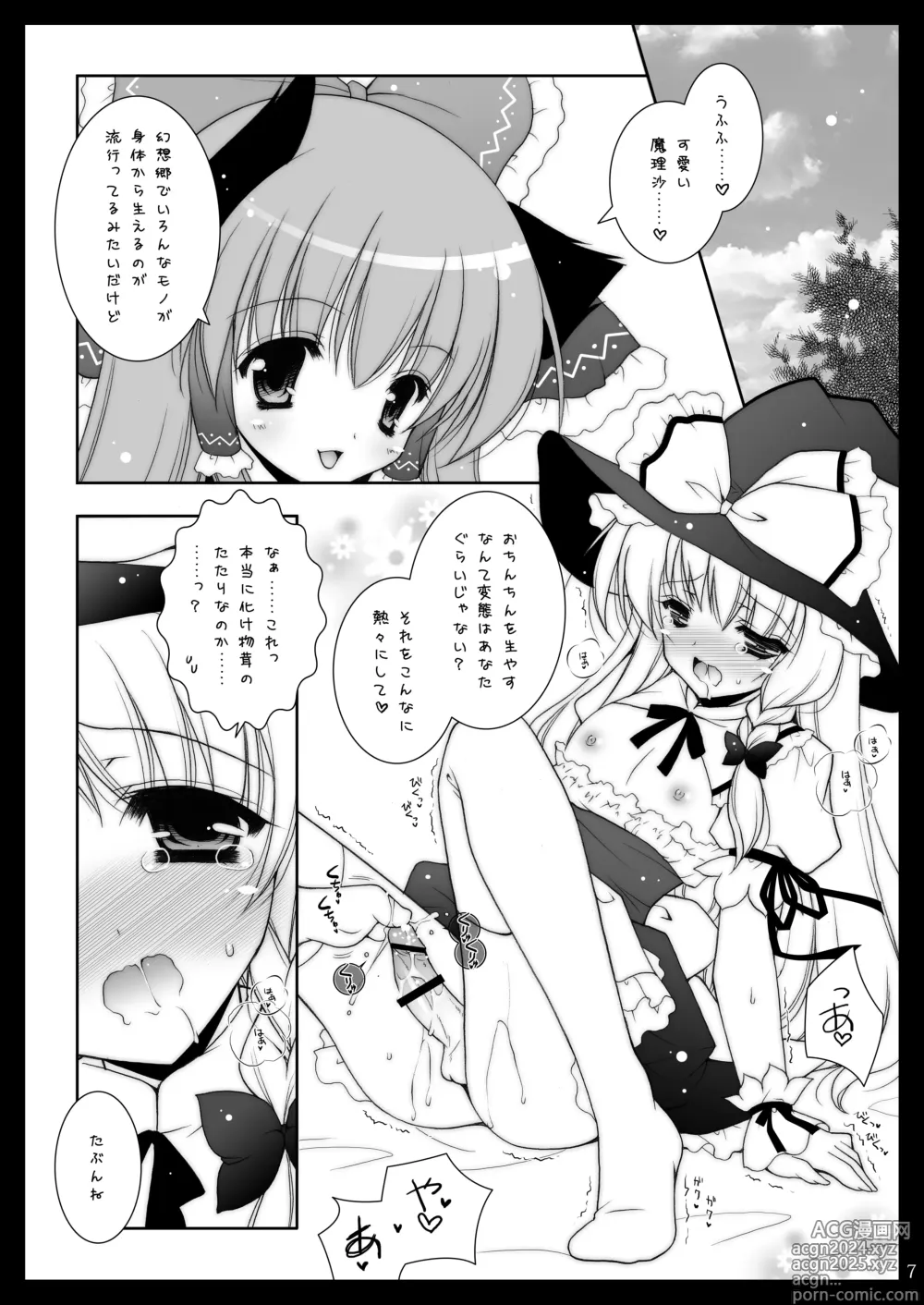 Page 7 of doujinshi Touhou Shungi