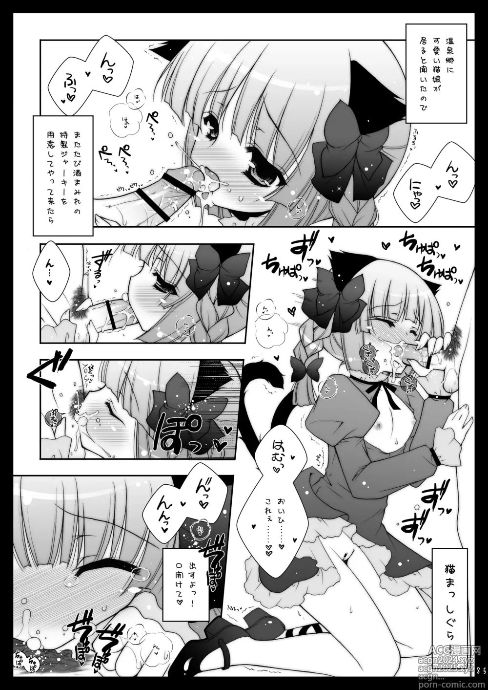 Page 85 of doujinshi Touhou Shungi