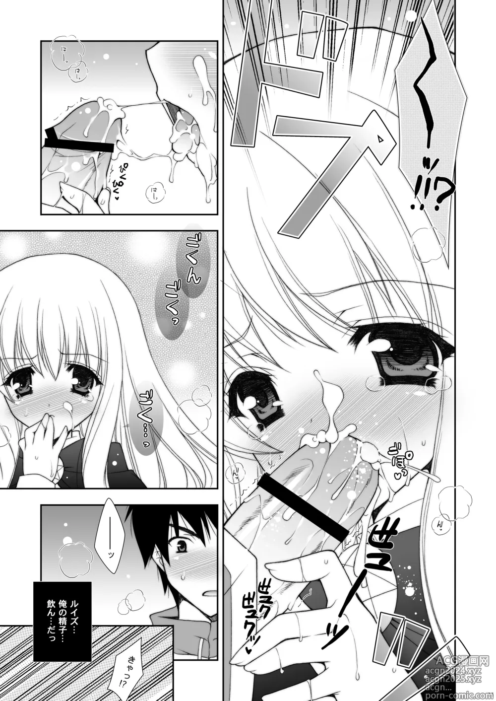 Page 11 of doujinshi Zero no Tsukaima Soushuuhen