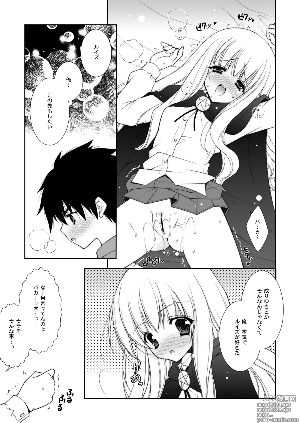 Page 15 of doujinshi Zero no Tsukaima Soushuuhen