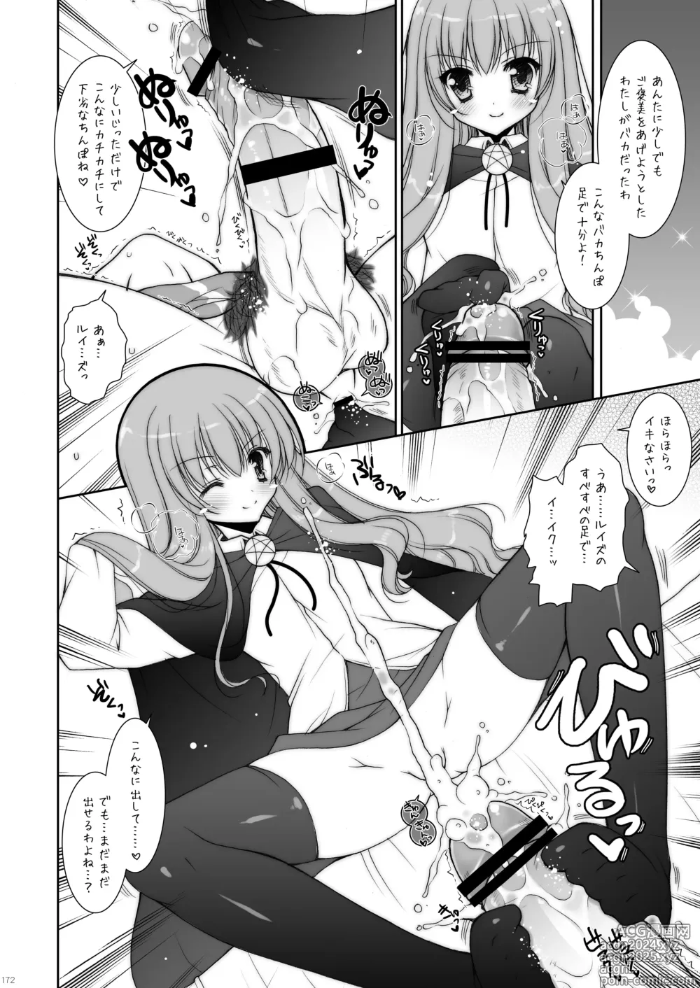 Page 172 of doujinshi Zero no Tsukaima Soushuuhen