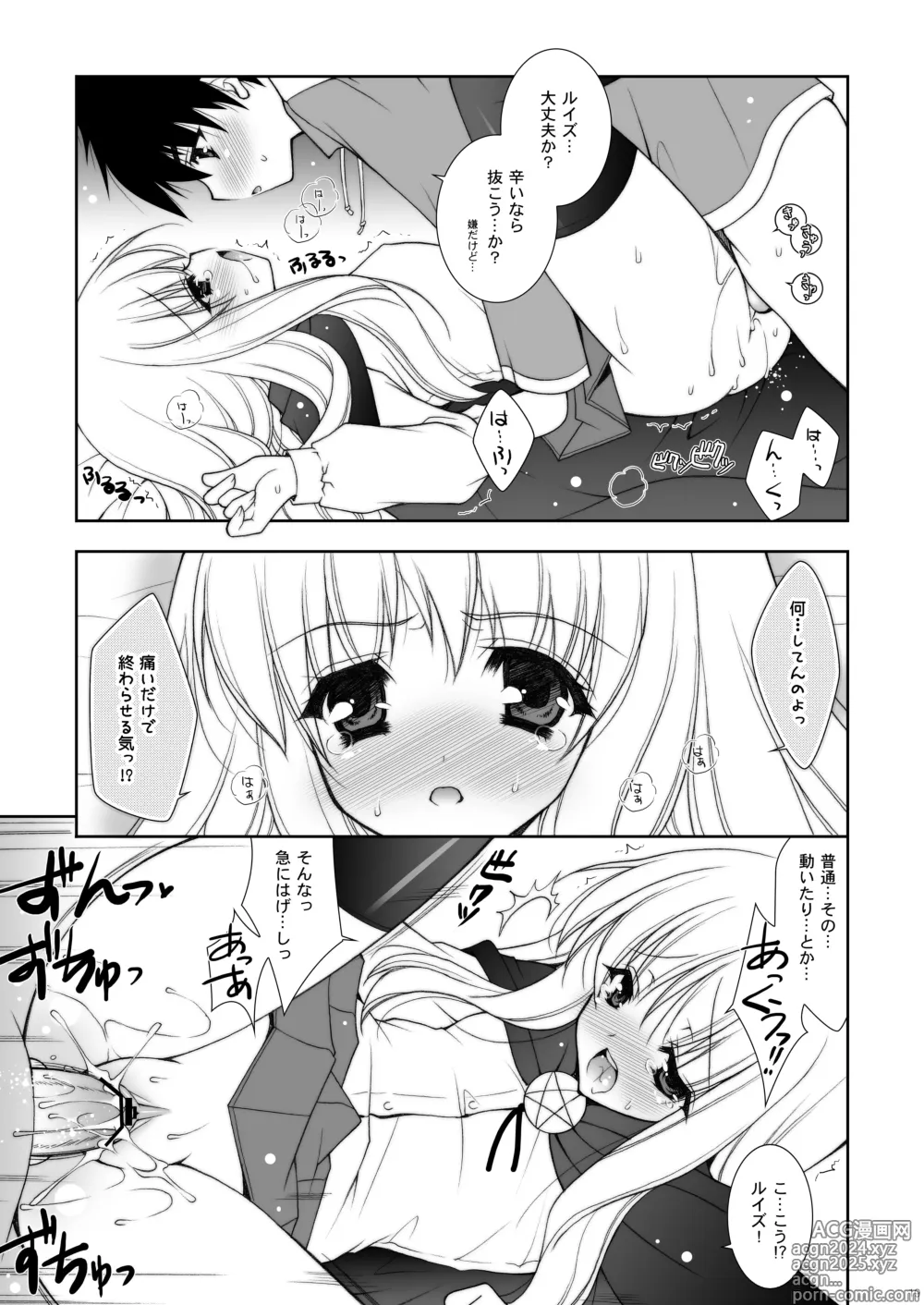 Page 19 of doujinshi Zero no Tsukaima Soushuuhen