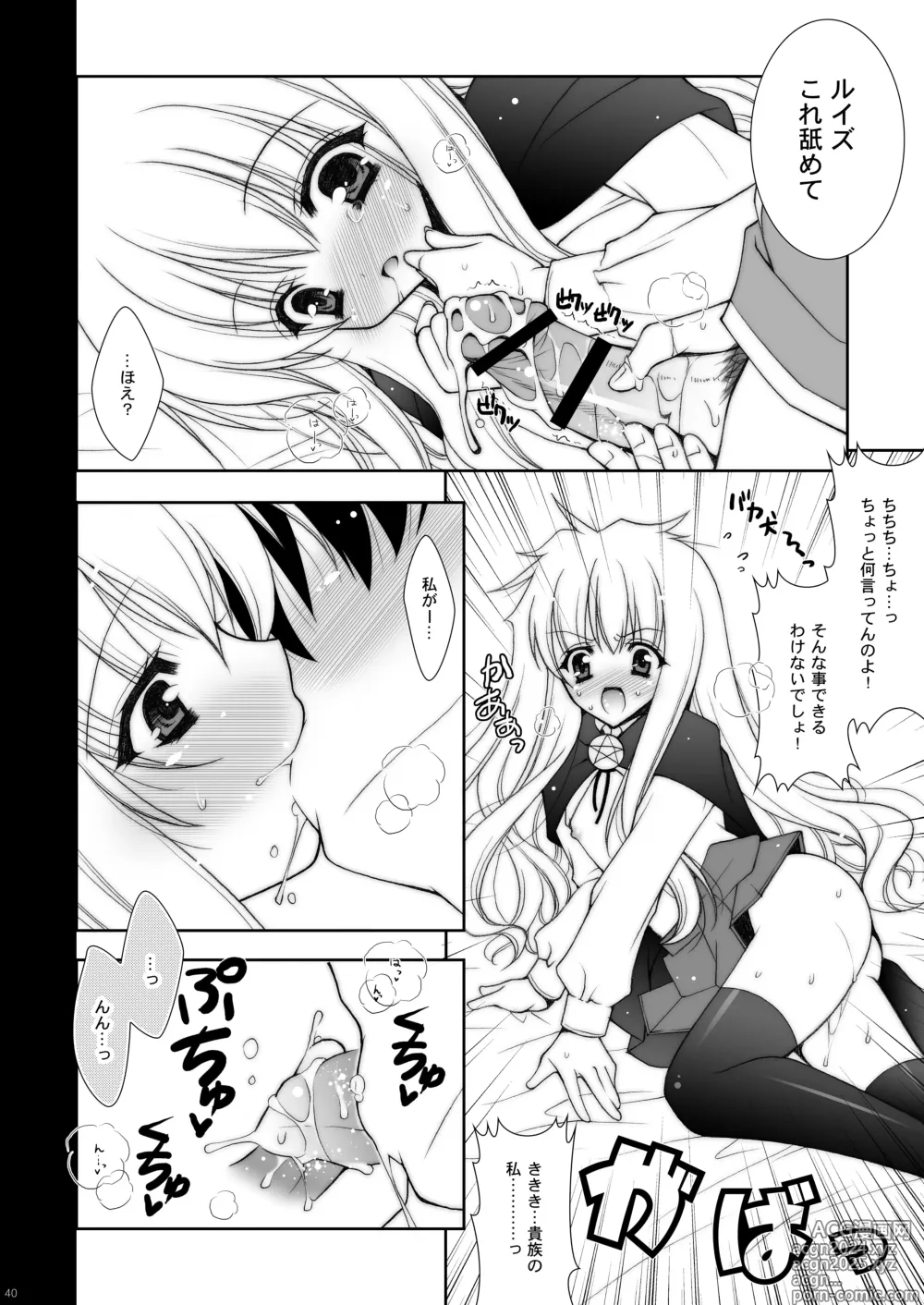 Page 40 of doujinshi Zero no Tsukaima Soushuuhen