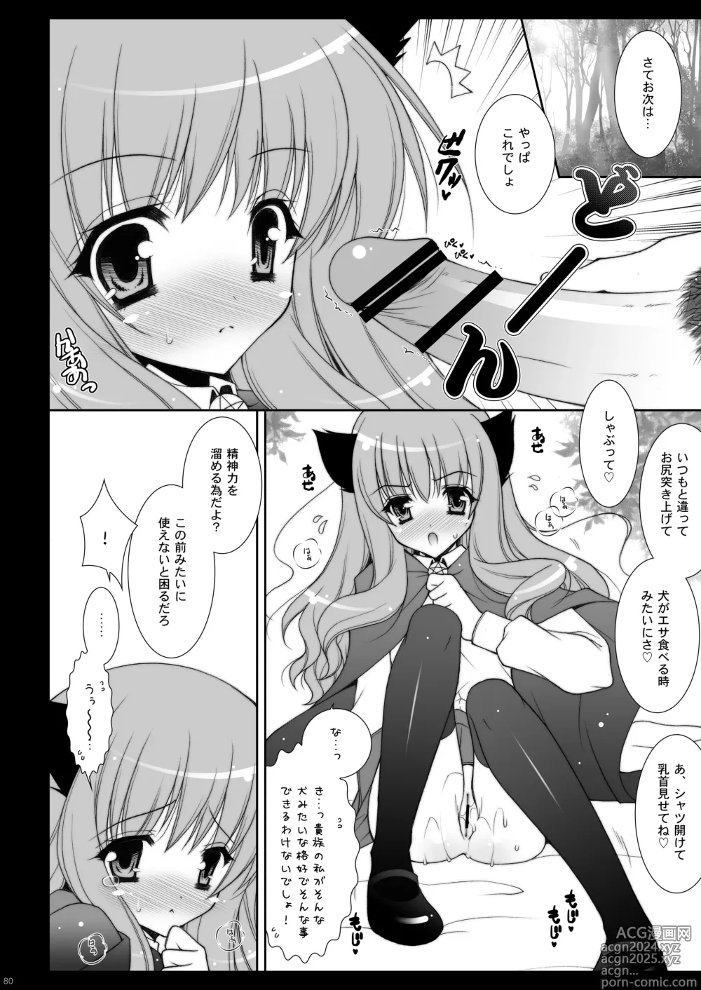 Page 80 of doujinshi Zero no Tsukaima Soushuuhen