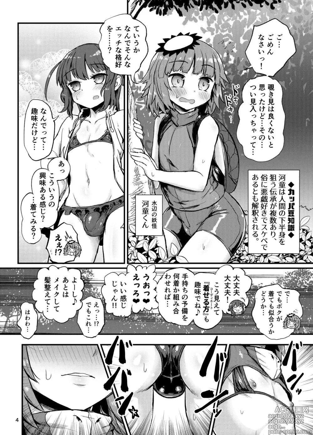 Page 4 of doujinshi Natsu no Mizube no Josou Danshi