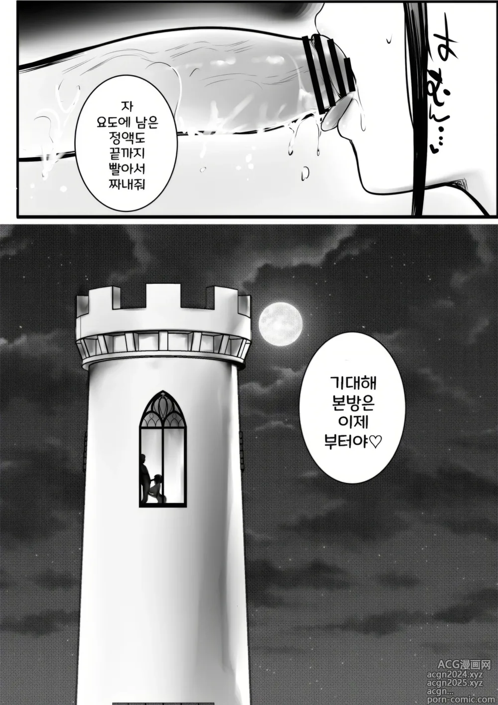 Page 21 of doujinshi 여기사 리제는 오늘 밤도 남자에게 안긴다 3