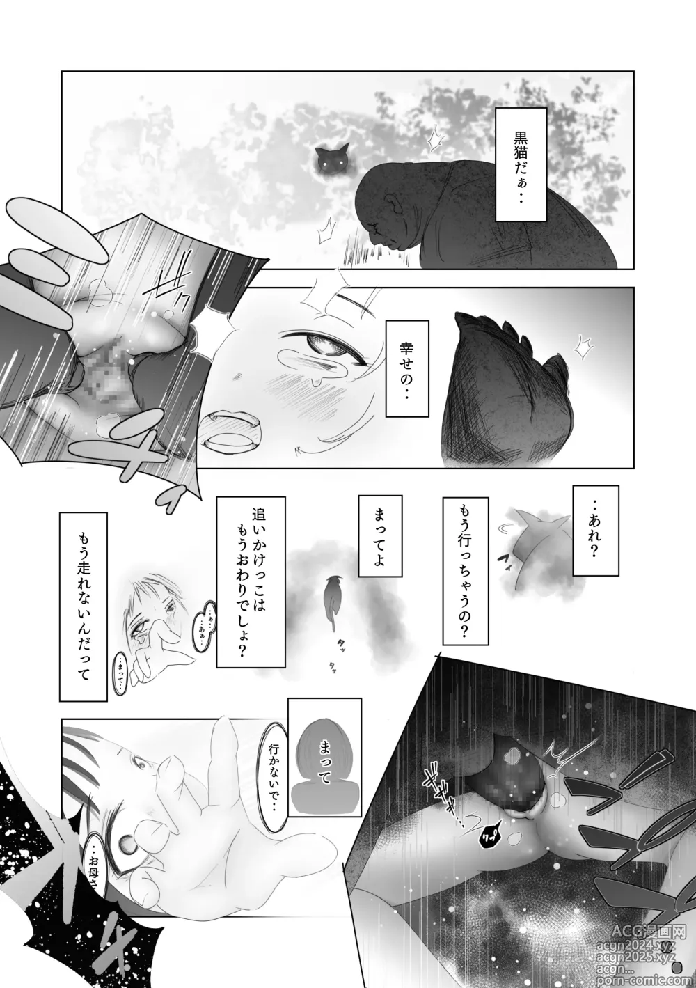 Page 27 of doujinshi Aru Shoujo