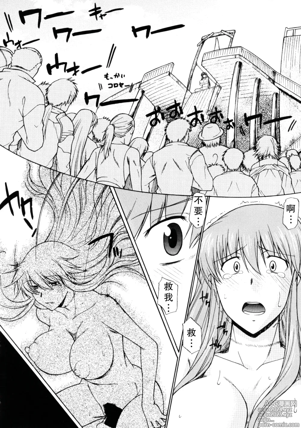 Page 17 of doujinshi Record of ALDELAYD Act.11