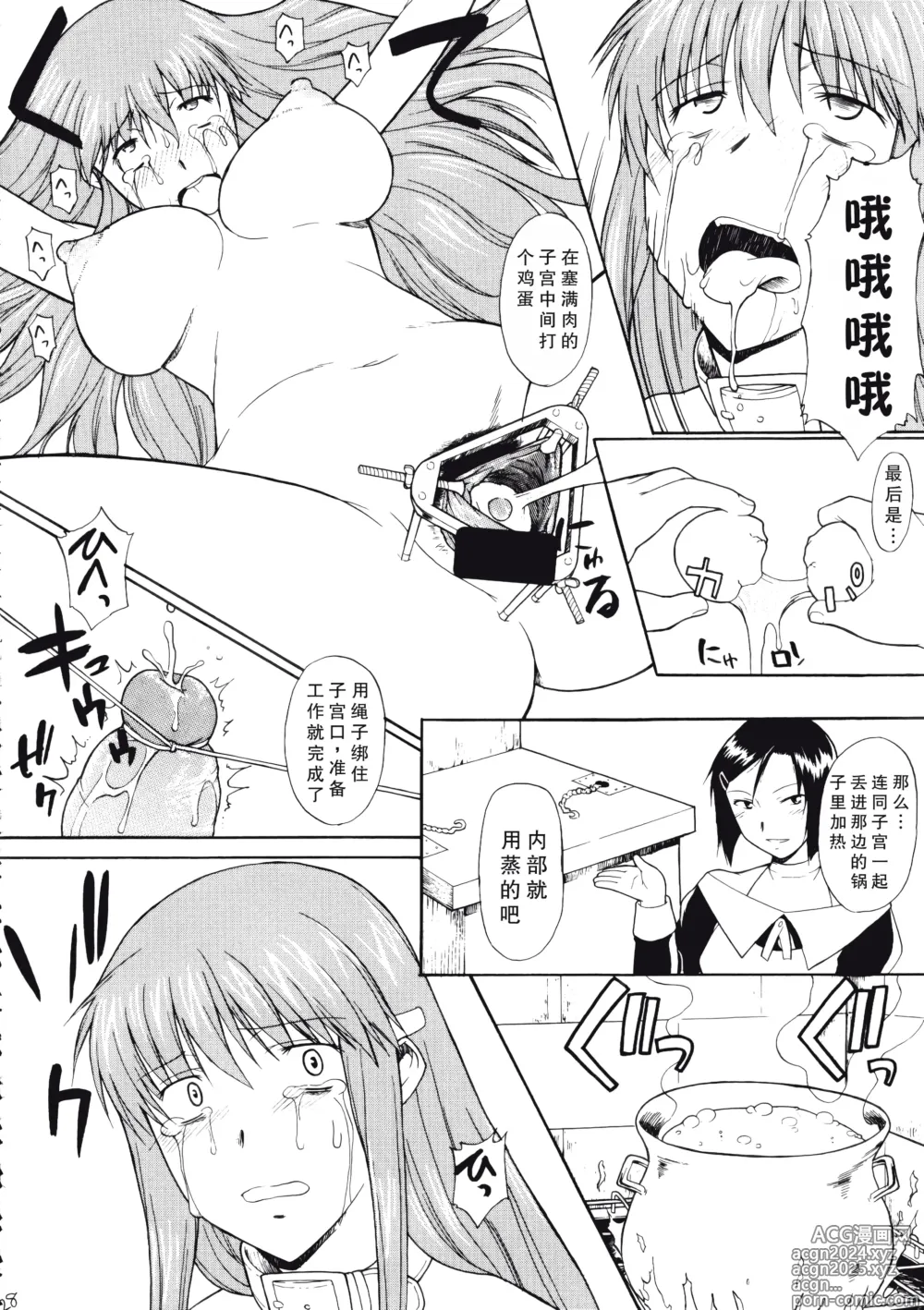 Page 31 of doujinshi Record of ALDELAYD Act.11