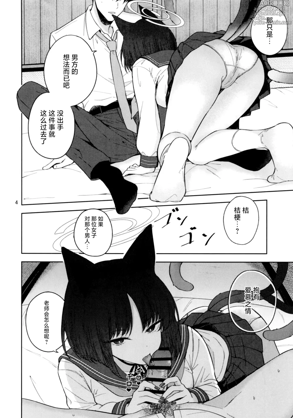 Page 5 of doujinshi 少女心与烛光火