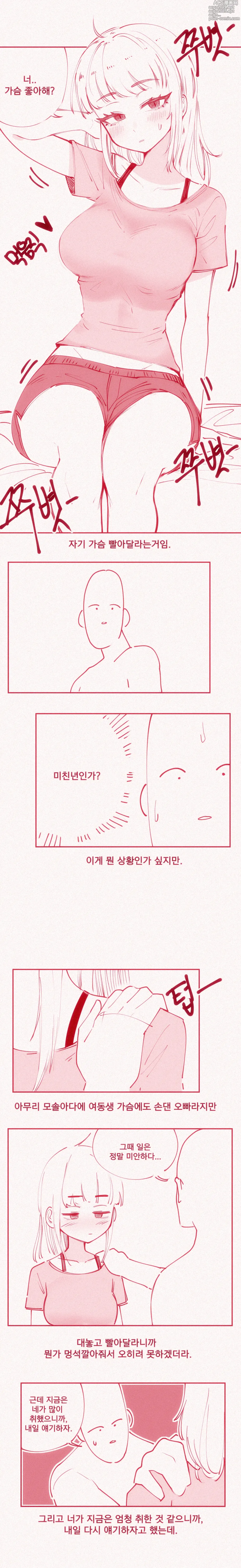 Page 3 of doujinshi 가슴빨리고 싶은 여동생