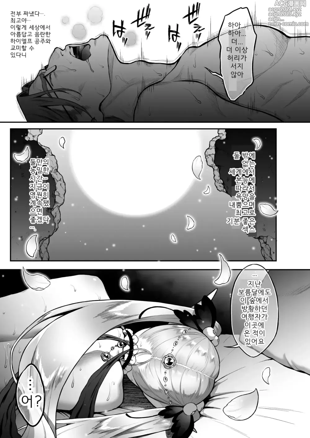 Page 20 of doujinshi 유구의 창엘프5 「몽환」후편 (uncensored)