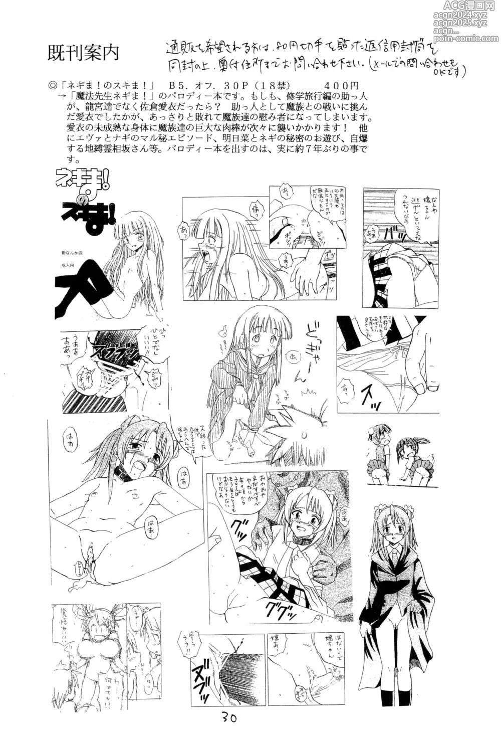 Page 30 of doujinshi Negima! no Sukima! 2