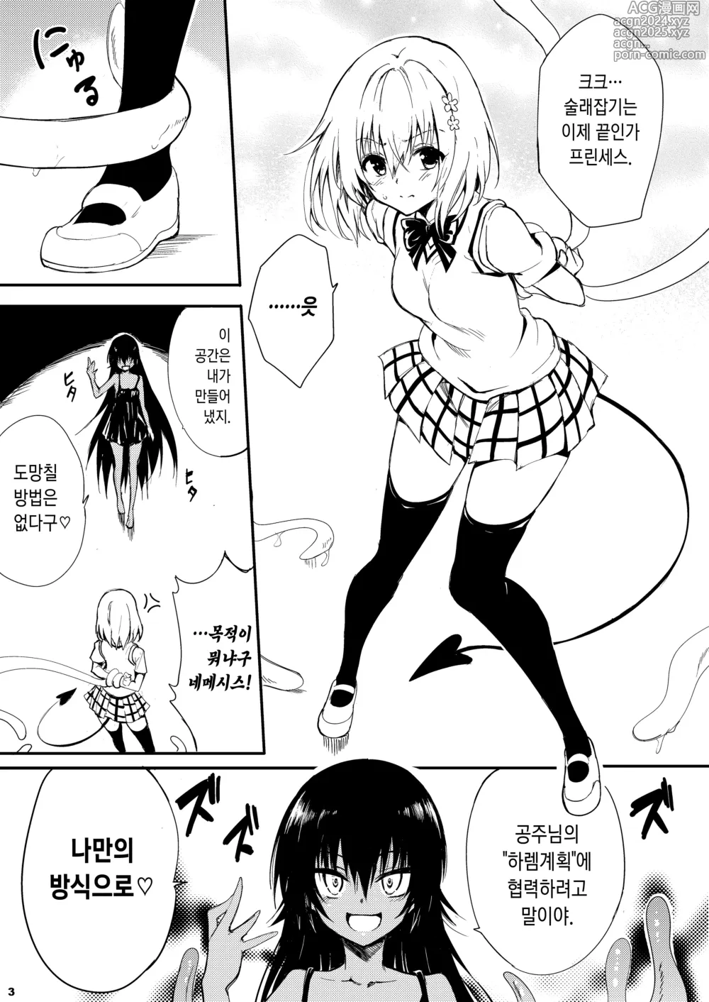 Page 3 of doujinshi 나의 하렘 계획