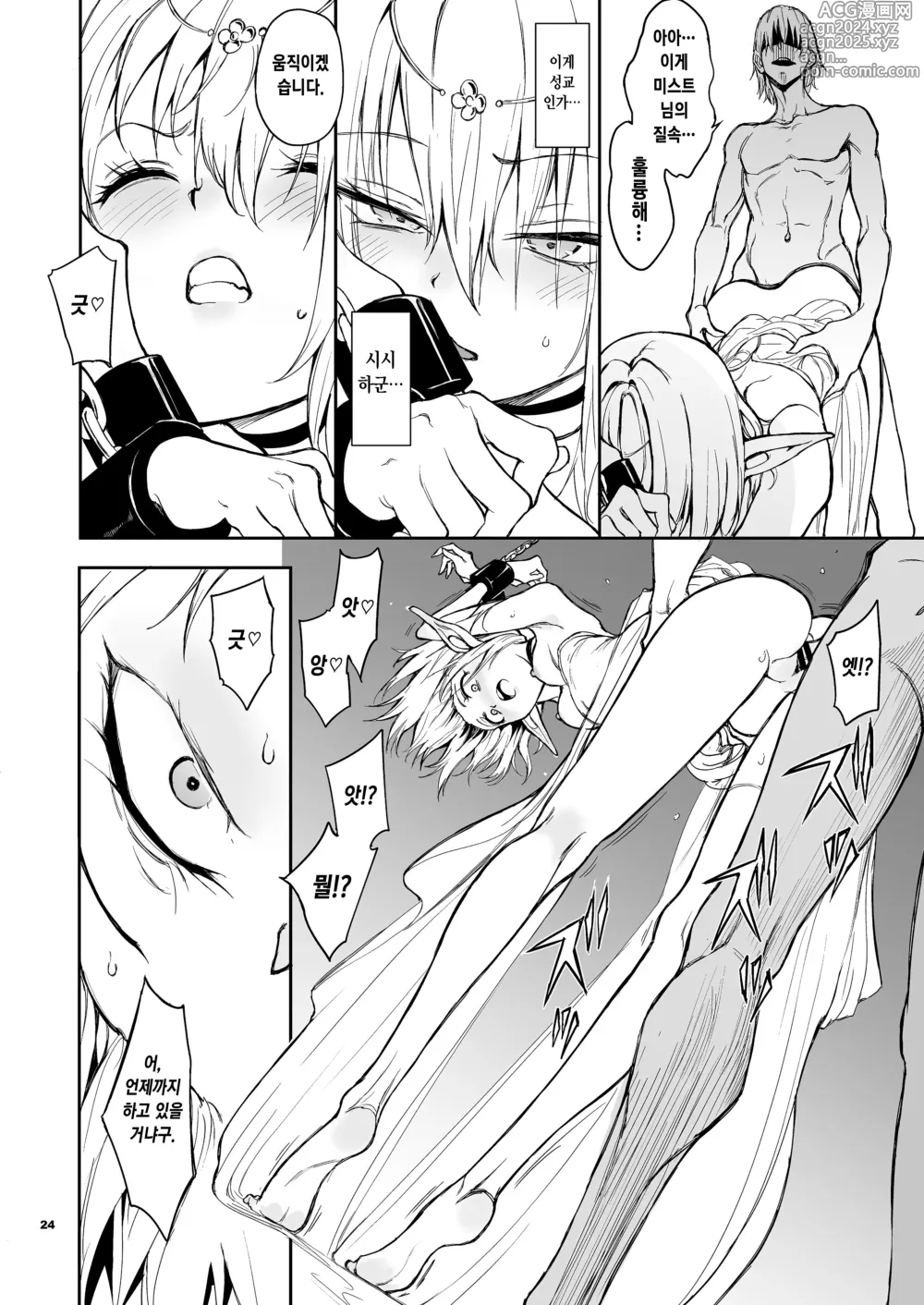 Page 24 of doujinshi 엘프 교육。 -망국의 미스트-