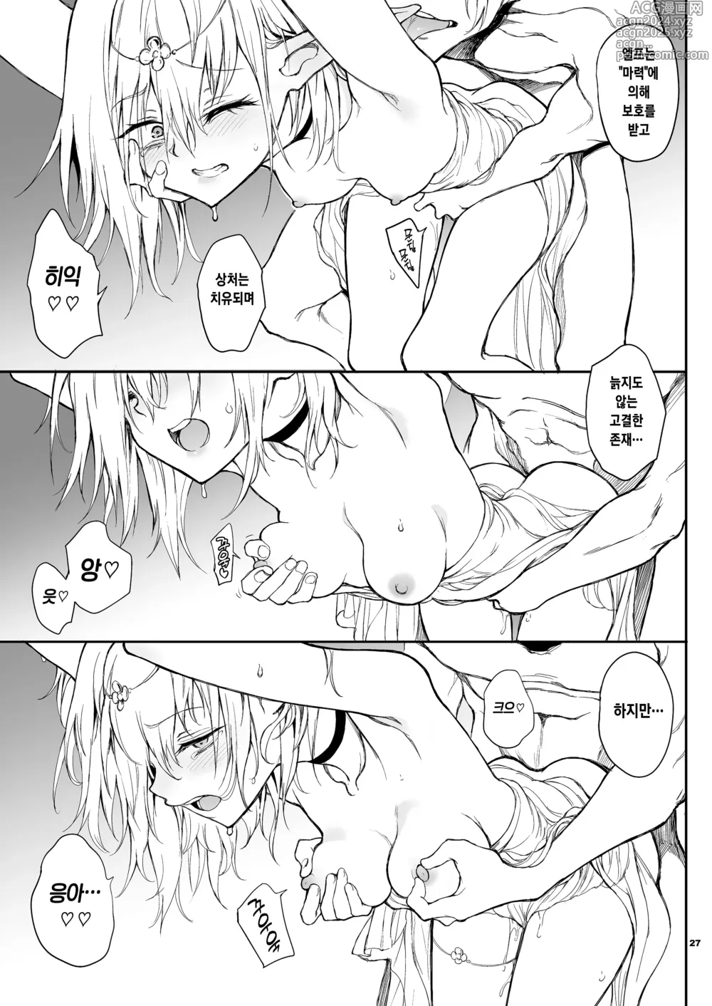 Page 27 of doujinshi 엘프 교육。 -망국의 미스트-