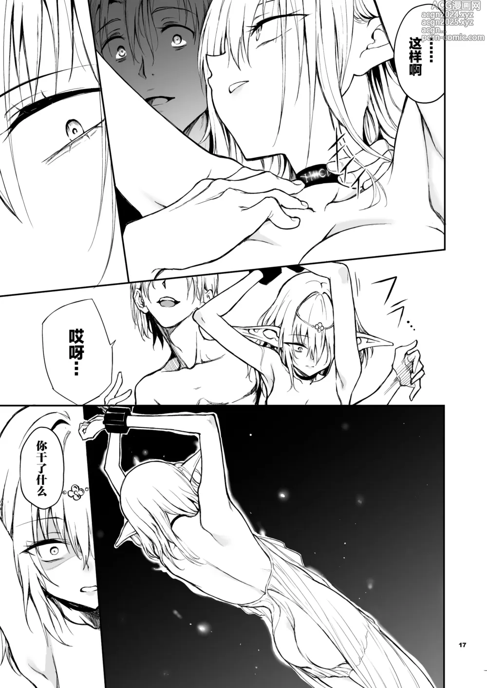 Page 17 of doujinshi 精灵教育 - 亡国的蜜丝特