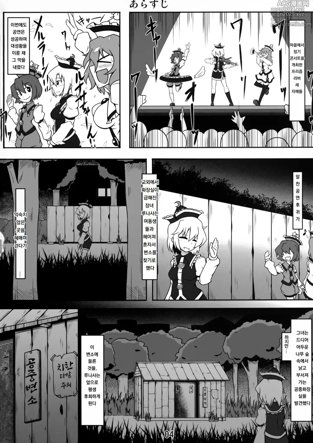 Page 3 of doujinshi 공중변소 루나사 ~가엾은 루나사 씨~