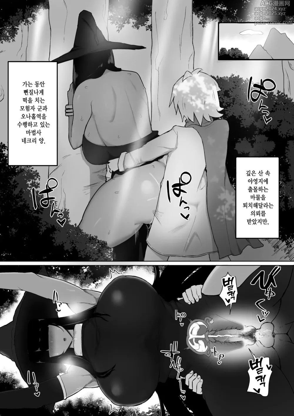 Page 3 of doujinshi パーティに雇った魔法使いに無責任種付けする話 2 (decensored)