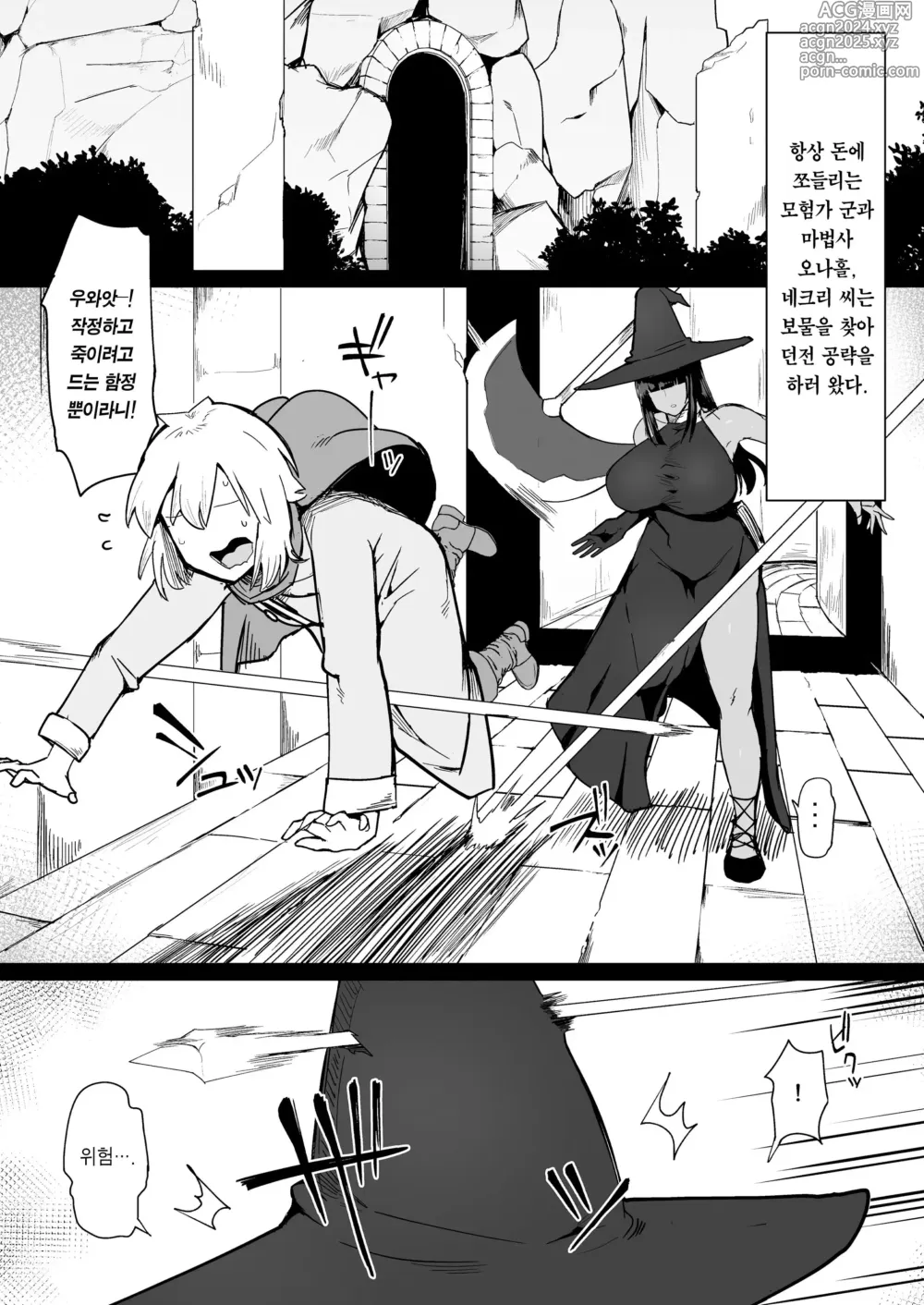 Page 2 of doujinshi パーティに雇った魔法使いに無責任種付けする話 3 (decensored)