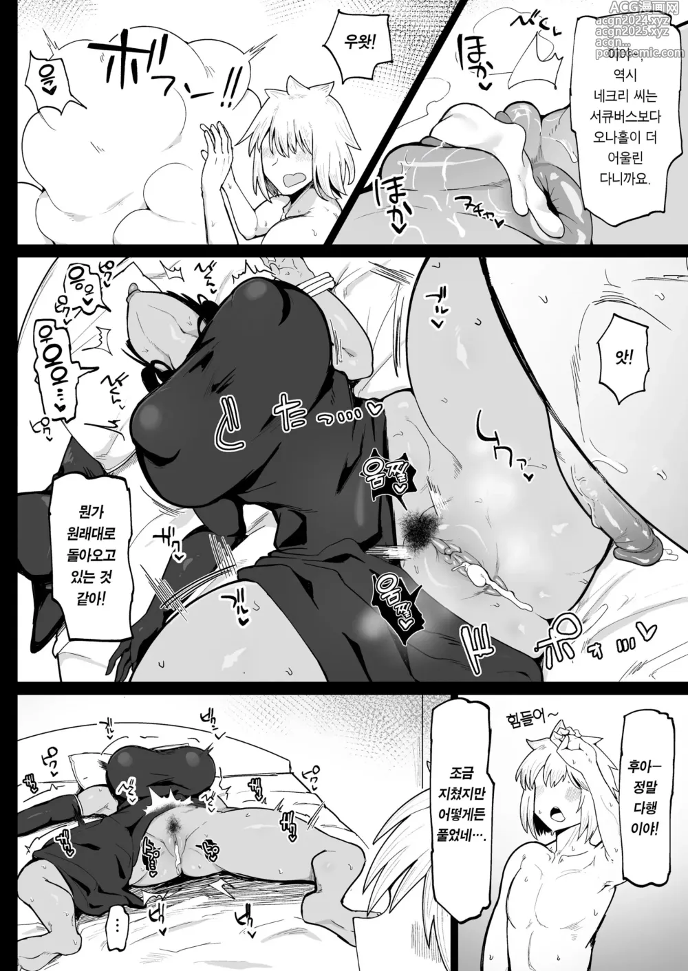 Page 29 of doujinshi パーティに雇った魔法使いに無責任種付けする話 3 (decensored)