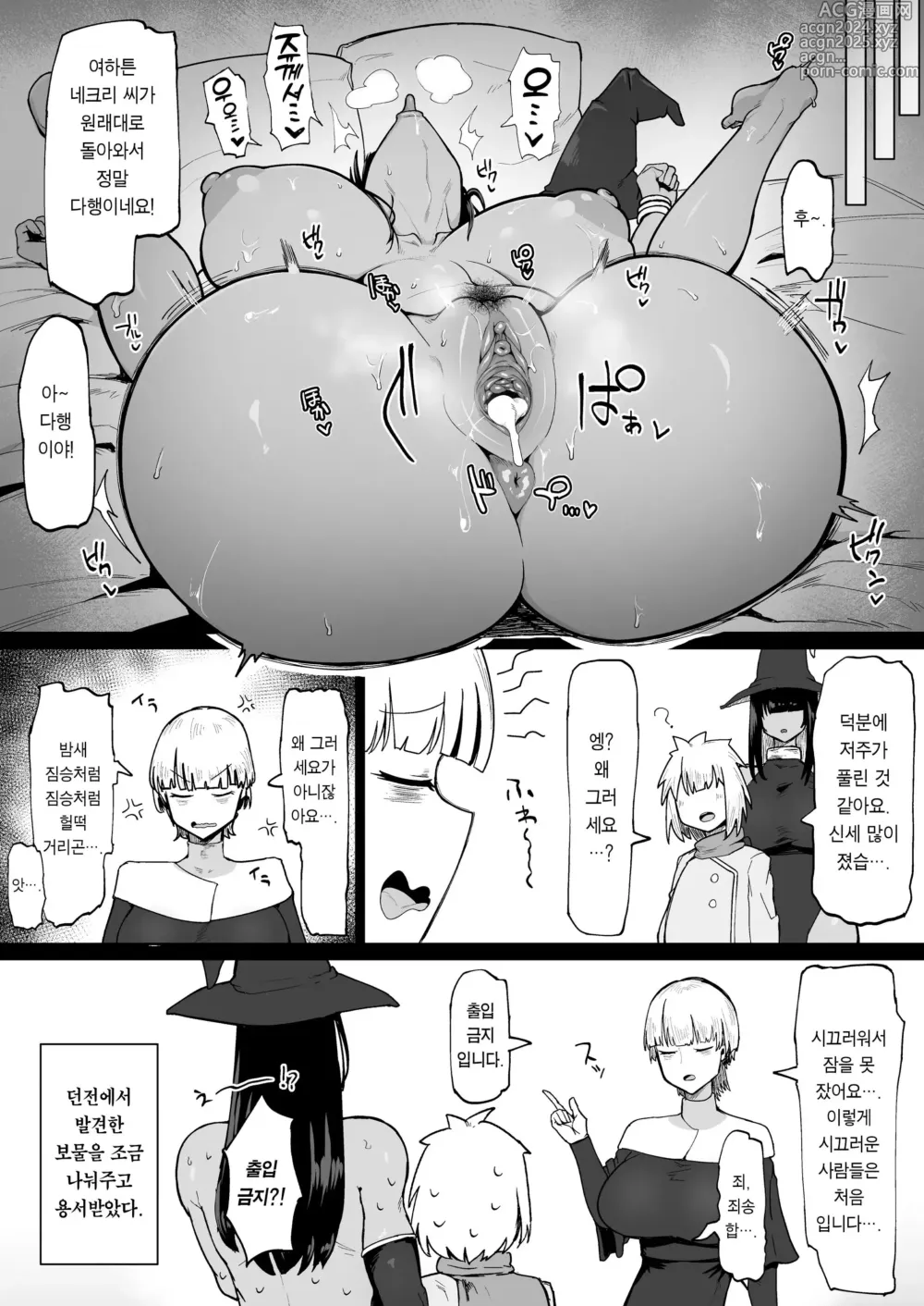 Page 35 of doujinshi パーティに雇った魔法使いに無責任種付けする話 3 (decensored)