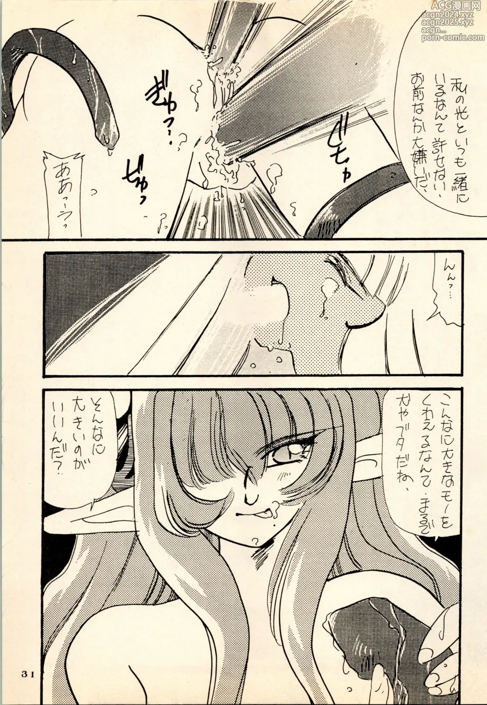 Page 31 of doujinshi She... - LUNCH BOX 15