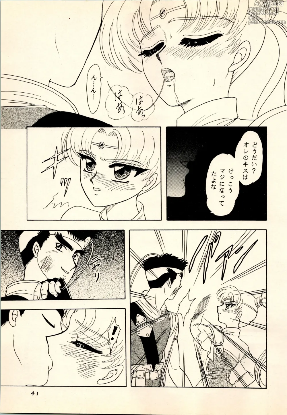 Page 41 of doujinshi She... - LUNCH BOX 15